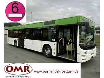 linja-auto MAN A 21 / A20 / Citaro / Lion`s City / Euro 6