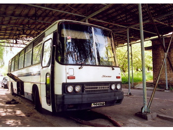 IKARUS 250.59 - Turistibussi
