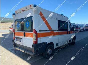 ORION srl FIAT DUCATO 250 (ID 3018) - Ambulanssi