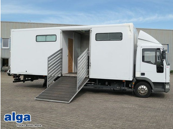 Iveco ML 75E14, 3x Pferdeboxen, AC, Schlafabteil, AHK  - Hevosauto