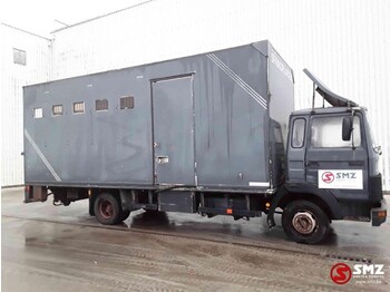 Eläinten kuljetus kuorma-auto Iveco Magirus 80 16 horse truck: kuva Eläinten kuljetus kuorma-auto Iveco Magirus 80 16 horse truck