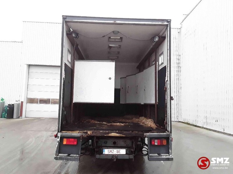 Eläinten kuljetus kuorma-auto Iveco Magirus 80 16 horse truck: kuva Eläinten kuljetus kuorma-auto Iveco Magirus 80 16 horse truck