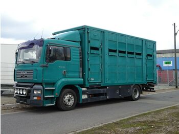 Eläinten kuljetus kuorma-auto MAN TG-A 18.310 FG  / LL: kuva Eläinten kuljetus kuorma-auto MAN TG-A 18.310 FG  / LL