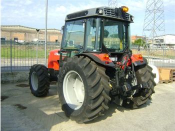 MASSEY FERGUSON 3655 frutteto dt - Traktori