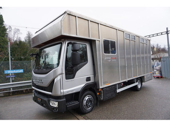 Eläinten kuljetus kuorma-auto IVECO EuroCargo