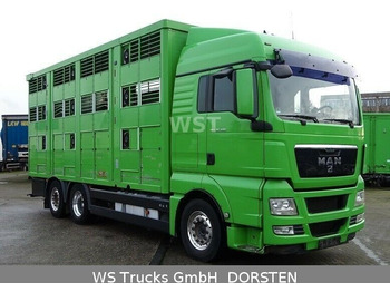 Eläinten kuljetus kuorma-auto MAN TGX 26.480