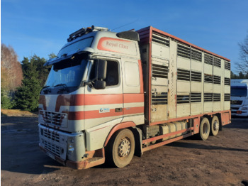 Eläinten kuljetus kuorma-auto VOLVO FH12