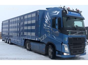 New PLAVAC 3+4 - Eläinten kuljetus puoliperävaunu: kuva New PLAVAC 3+4 - Eläinten kuljetus puoliperävaunu