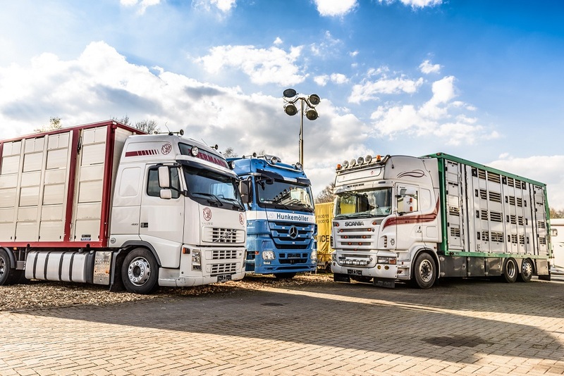 WS Trucks GmbH - Puoliperävaunut - Vuosi: 2025, vuokrattavissa undefined: kuva WS Trucks GmbH - Puoliperävaunut - Vuosi: 2025, vuokrattavissa undefined