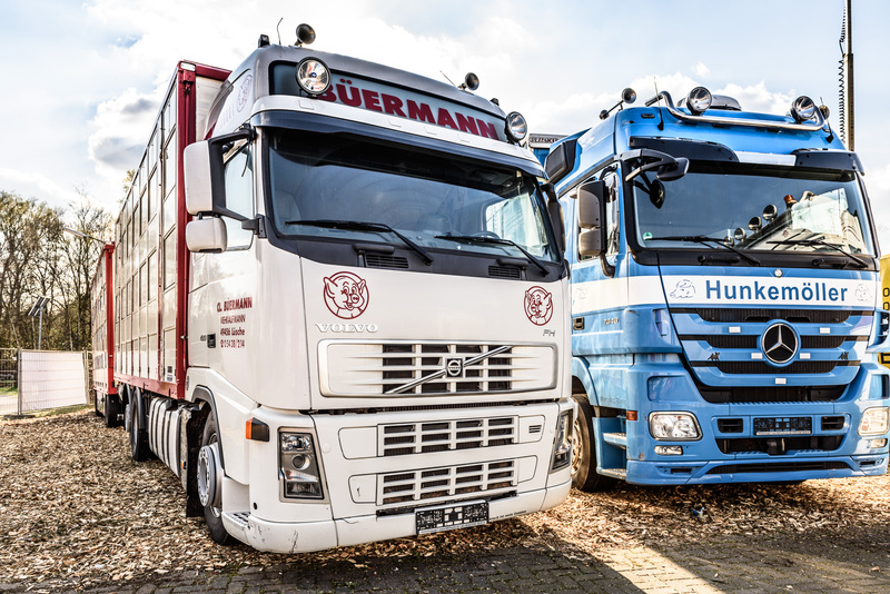 WS Trucks GmbH - Puoliperävaunut - Vuosi: 2025, vuokrattavissa undefined: kuva WS Trucks GmbH - Puoliperävaunut - Vuosi: 2025, vuokrattavissa undefined