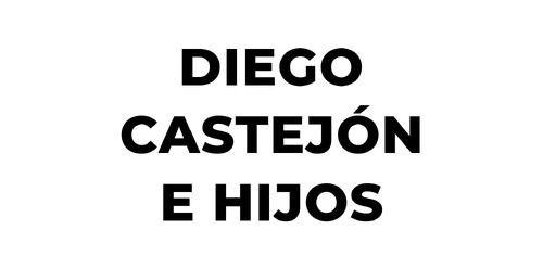 DIEGO CASTEJÓN E HIJOS S.L. Truck1:llä