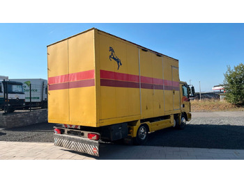 Leasing MAN TGL 10.180 Euro 4  Pferdetransporter Horse MAN TGL 10.180 Euro 4  Pferdetransporter Horse MAN TGL 10.180 Euro 4  Pferdetransporter Horse MAN TGL 10.180 Euro 4  Pferdetransporter Horse: kuva Leasing MAN TGL 10.180 Euro 4  Pferdetransporter Horse MAN TGL 10.180 Euro 4  Pferdetransporter Horse MAN TGL 10.180 Euro 4  Pferdetransporter Horse MAN TGL 10.180 Euro 4  Pferdetransporter Horse