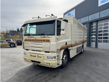 Eläinten kuljetus kuorma-auto DAF CF 410