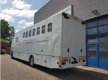Leasing DAF 95.350 Paardenwagen met zitverblijf 7 paarden 7 horses DAF 95.350 Paardenwagen met zitverblijf 7 paarden 7 horses: kuva Leasing DAF 95.350 Paardenwagen met zitverblijf 7 paarden 7 horses DAF 95.350 Paardenwagen met zitverblijf 7 paarden 7 horses