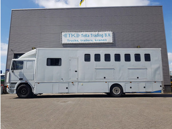 Leasing DAF 95.350 Paardenwagen met zitverblijf 7 paarden 7 horses DAF 95.350 Paardenwagen met zitverblijf 7 paarden 7 horses: kuva Leasing DAF 95.350 Paardenwagen met zitverblijf 7 paarden 7 horses DAF 95.350 Paardenwagen met zitverblijf 7 paarden 7 horses