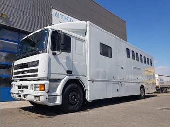 Leasing DAF 95.350 Paardenwagen met zitverblijf 7 paarden 7 horses DAF 95.350 Paardenwagen met zitverblijf 7 paarden 7 horses: kuva Leasing DAF 95.350 Paardenwagen met zitverblijf 7 paarden 7 horses DAF 95.350 Paardenwagen met zitverblijf 7 paarden 7 horses