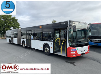 Nivelbussi MAN Lion's City A23