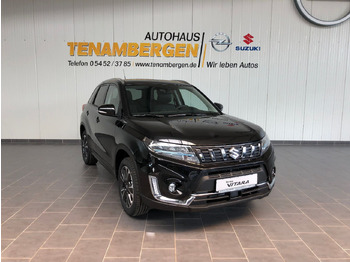 Maasturi/ Katumaasturi SUZUKI