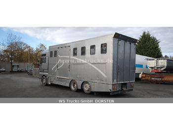 Uusi Hevosauto MAN TGA 26.480 FG   6x2 Pferdetransporter Luft/Luft: kuva Uusi Hevosauto MAN TGA 26.480 FG   6x2 Pferdetransporter Luft/Luft