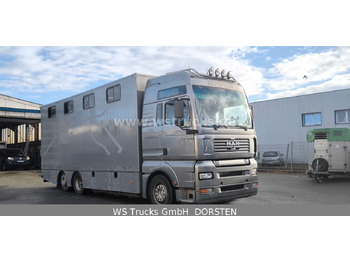 Uusi Hevosauto MAN TGA 26.480 FG   6x2 Pferdetransporter Luft/Luft: kuva Uusi Hevosauto MAN TGA 26.480 FG   6x2 Pferdetransporter Luft/Luft