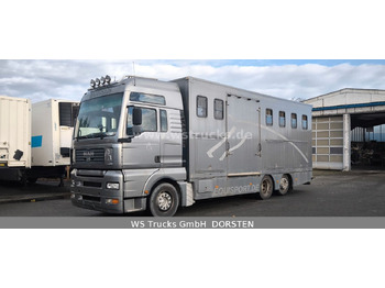 Uusi Hevosauto MAN TGA 26.480 FG   6x2 Pferdetransporter Luft/Luft: kuva Uusi Hevosauto MAN TGA 26.480 FG   6x2 Pferdetransporter Luft/Luft