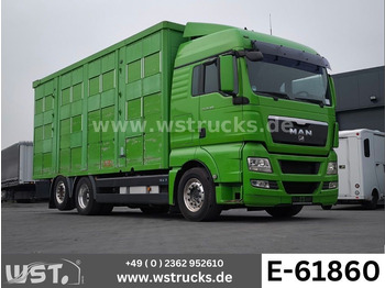 Hevosauto MAN TGX 26.480