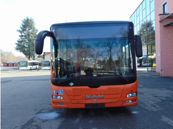 Nivelbussi N.3 MAN LION’S CITY GL CNG – Anno 2014: kuva Nivelbussi N.3 MAN LION’S CITY GL CNG – Anno 2014 Nivelbussi N.3 MAN LION’S CITY GL CNG – Anno 2014: kuva Nivelbussi N.3 MAN LION’S CITY GL CNG – Anno 2014