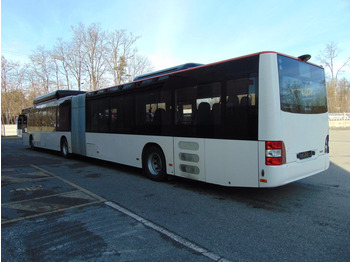 Nivelbussi N.3 MAN LION’S CITY GL CNG – Anno 2014: kuva Nivelbussi N.3 MAN LION’S CITY GL CNG – Anno 2014 Nivelbussi N.3 MAN LION’S CITY GL CNG – Anno 2014: kuva Nivelbussi N.3 MAN LION’S CITY GL CNG – Anno 2014