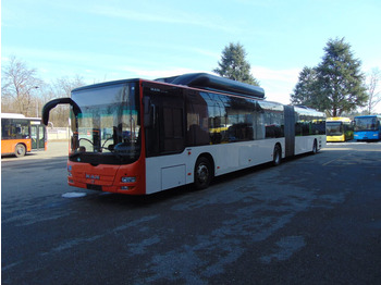 Nivelbussi N.3 MAN LION’S CITY GL CNG – Anno 2014: kuva Nivelbussi N.3 MAN LION’S CITY GL CNG – Anno 2014 Nivelbussi N.3 MAN LION’S CITY GL CNG – Anno 2014: kuva Nivelbussi N.3 MAN LION’S CITY GL CNG – Anno 2014