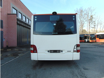 Nivelbussi N.3 MAN LION’S CITY GL CNG – Anno 2014: kuva Nivelbussi N.3 MAN LION’S CITY GL CNG – Anno 2014 Nivelbussi N.3 MAN LION’S CITY GL CNG – Anno 2014: kuva Nivelbussi N.3 MAN LION’S CITY GL CNG – Anno 2014