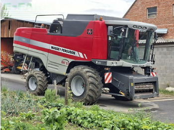 Leikkuupuimuri MASSEY FERGUSON