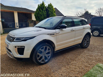 Maasturi/ Katumaasturi