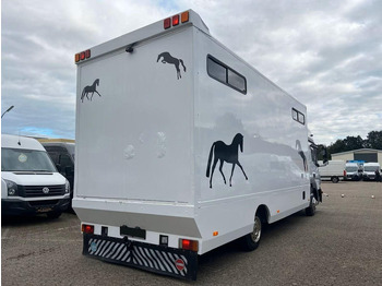 Hevosauto Mercedes-Benz Atego 823 - Horse transporter: kuva Hevosauto Mercedes-Benz Atego 823 - Horse transporter Hevosauto Mercedes-Benz Atego 823 - Horse transporter: kuva Hevosauto Mercedes-Benz Atego 823 - Horse transporter