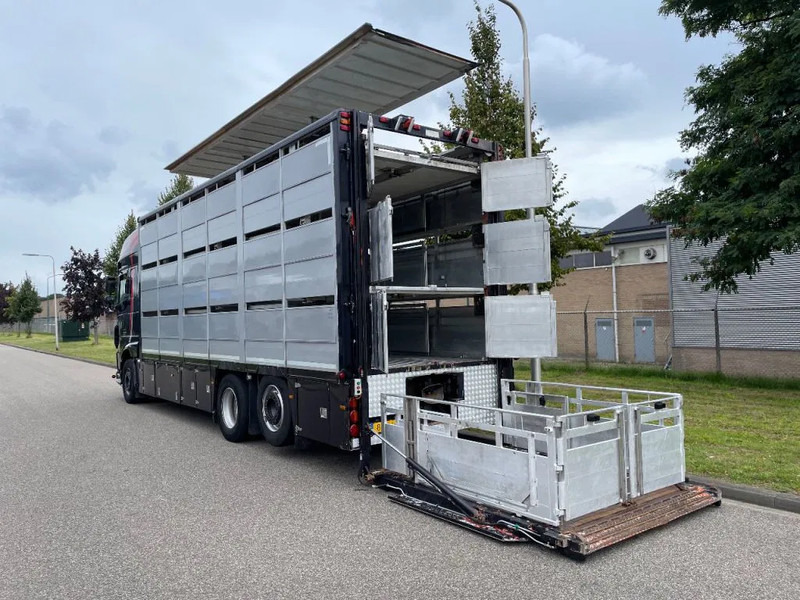 DAF XF 460 2017 berdex 3 lagen varkens - Eläinten kuljetus kuorma-auto: kuva DAF XF 460 2017 berdex 3 lagen varkens - Eläinten kuljetus kuorma-auto DAF XF 460 2017 berdex 3 lagen varkens - Eläinten kuljetus kuorma-auto: kuva DAF XF 460 2017 berdex 3 lagen varkens - Eläinten kuljetus kuorma-auto