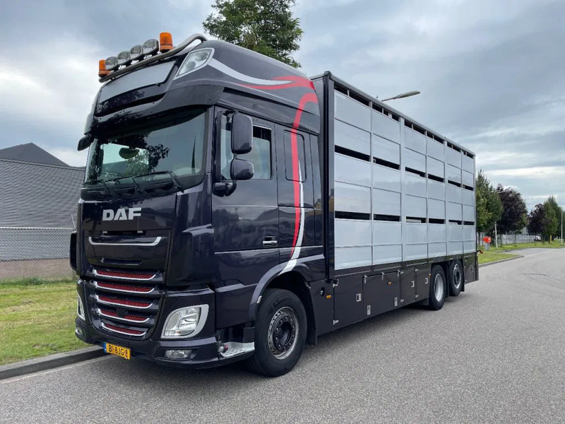 DAF XF 460 2017 berdex 3 lagen varkens - Eläinten kuljetus kuorma-auto: kuva DAF XF 460 2017 berdex 3 lagen varkens - Eläinten kuljetus kuorma-auto DAF XF 460 2017 berdex 3 lagen varkens - Eläinten kuljetus kuorma-auto: kuva DAF XF 460 2017 berdex 3 lagen varkens - Eläinten kuljetus kuorma-auto