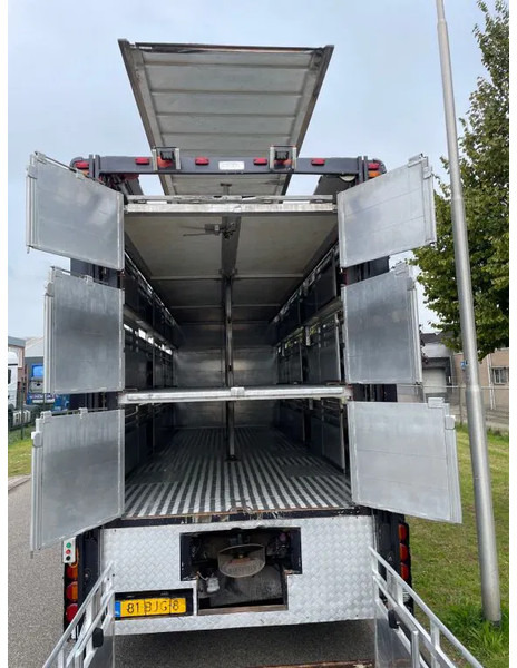 DAF XF 460 2017 berdex 3 lagen varkens - Eläinten kuljetus kuorma-auto: kuva DAF XF 460 2017 berdex 3 lagen varkens - Eläinten kuljetus kuorma-auto DAF XF 460 2017 berdex 3 lagen varkens - Eläinten kuljetus kuorma-auto: kuva DAF XF 460 2017 berdex 3 lagen varkens - Eläinten kuljetus kuorma-auto