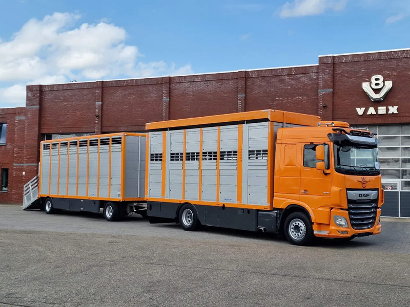 DAF XF 530 4x2 - Livestock Menke 2 deck + 2018 Menke trailer - Water + Ventilation - Lifting roof - Eläinten kuljetus kuorma-auto: kuva DAF XF 530 4x2 - Livestock Menke 2 deck + 2018 Menke trailer - Water + Ventilation - Lifting roof - Eläinten kuljetus kuorma-auto DAF XF 530 4x2 - Livestock Menke 2 deck + 2018 Menke trailer - Water + Ventilation - Lifting roof - Eläinten kuljetus kuorma-auto: kuva DAF XF 530 4x2 - Livestock Menke 2 deck + 2018 Menke trailer - Water + Ventilation - Lifting roof - Eläinten kuljetus kuorma-auto