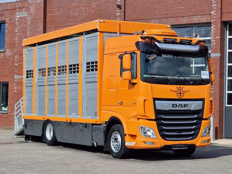 DAF XF 530 4x2 - Livestock Menke 2 deck water & ventilation - Eläinten kuljetus kuorma-auto: kuva DAF XF 530 4x2 - Livestock Menke 2 deck water & ventilation - Eläinten kuljetus kuorma-auto DAF XF 530 4x2 - Livestock Menke 2 deck water & ventilation - Eläinten kuljetus kuorma-auto: kuva DAF XF 530 4x2 - Livestock Menke 2 deck water & ventilation - Eläinten kuljetus kuorma-auto