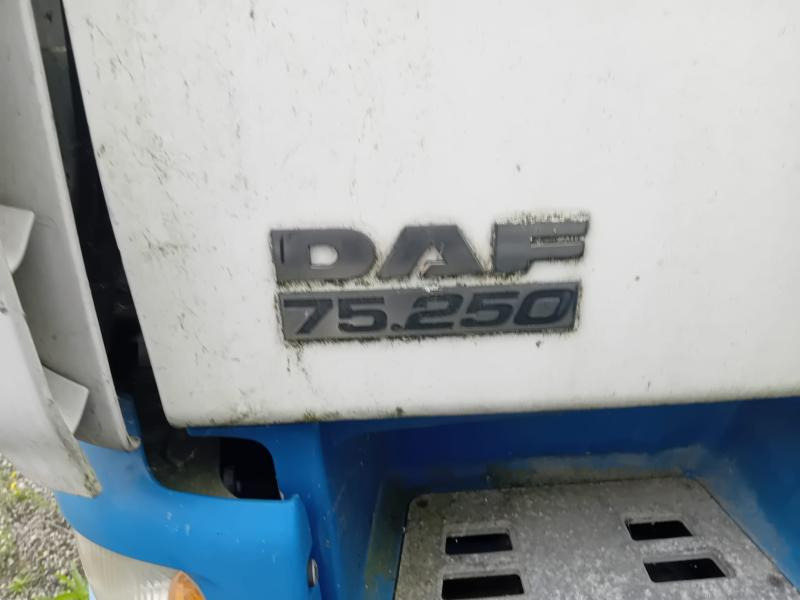 DAF CF 75.250 - Umpikori kuorma-auto: kuva DAF CF 75.250 - Umpikori kuorma-auto DAF CF 75.250 - Umpikori kuorma-auto: kuva DAF CF 75.250 - Umpikori kuorma-auto