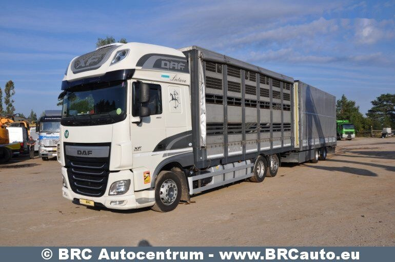 DAF DAF XF XF - Pressukapelli kuorma-auto: kuva DAF DAF XF XF - Pressukapelli kuorma-auto DAF DAF XF XF - Pressukapelli kuorma-auto: kuva DAF DAF XF XF - Pressukapelli kuorma-auto