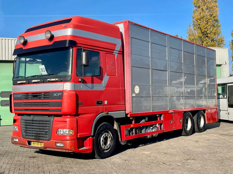 DAF XF 95.430 BERDEX 3 decks. Water, fans, Scales! Excellent condition. - Eläinten kuljetus kuorma-auto: kuva DAF XF 95.430 BERDEX 3 decks. Water, fans, Scales! Excellent condition. - Eläinten kuljetus kuorma-auto DAF XF 95.430 BERDEX 3 decks. Water, fans, Scales! Excellent condition. - Eläinten kuljetus kuorma-auto: kuva DAF XF 95.430 BERDEX 3 decks. Water, fans, Scales! Excellent condition. - Eläinten kuljetus kuorma-auto