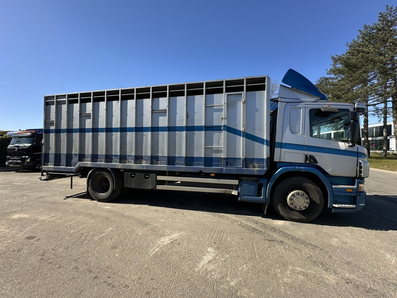 Scania P310 4x2 ANIMAL TRANSPORT - ALU BOX 7m - MANUAL - AIR SUSPENSION - A/C - BELGIAN TRUCK - Eläinten kuljetus kuorma-auto: kuva Scania P310 4x2 ANIMAL TRANSPORT - ALU BOX 7m - MANUAL - AIR SUSPENSION - A/C - BELGIAN TRUCK - Eläinten kuljetus kuorma-auto Scania P310 4x2 ANIMAL TRANSPORT - ALU BOX 7m - MANUAL - AIR SUSPENSION - A/C - BELGIAN TRUCK - Eläinten kuljetus kuorma-auto: kuva Scania P310 4x2 ANIMAL TRANSPORT - ALU BOX 7m - MANUAL - AIR SUSPENSION - A/C - BELGIAN TRUCK - Eläinten kuljetus kuorma-auto