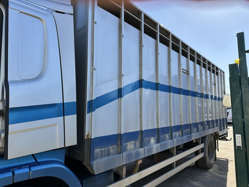 Scania P310 4x2 ANIMAL TRANSPORT - ALU BOX 7m - MANUAL - AIR SUSPENSION - A/C - BELGIAN TRUCK - Eläinten kuljetus kuorma-auto: kuva Scania P310 4x2 ANIMAL TRANSPORT - ALU BOX 7m - MANUAL - AIR SUSPENSION - A/C - BELGIAN TRUCK - Eläinten kuljetus kuorma-auto Scania P310 4x2 ANIMAL TRANSPORT - ALU BOX 7m - MANUAL - AIR SUSPENSION - A/C - BELGIAN TRUCK - Eläinten kuljetus kuorma-auto: kuva Scania P310 4x2 ANIMAL TRANSPORT - ALU BOX 7m - MANUAL - AIR SUSPENSION - A/C - BELGIAN TRUCK - Eläinten kuljetus kuorma-auto