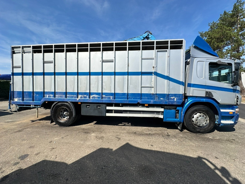Scania P310 4x2 LIVESTOCK / VEEWAGEN / TIERTRANSPORT / BETAILLERE - ALU BOX 7m - MANUAL - A/C - BELGIAN TRUCK - Eläinten kuljetus kuorma-auto: kuva Scania P310 4x2 LIVESTOCK / VEEWAGEN / TIERTRANSPORT / BETAILLERE - ALU BOX 7m - MANUAL - A/C - BELGIAN TRUCK - Eläinten kuljetus kuorma-auto Scania P310 4x2 LIVESTOCK / VEEWAGEN / TIERTRANSPORT / BETAILLERE - ALU BOX 7m - MANUAL - A/C - BELGIAN TRUCK - Eläinten kuljetus kuorma-auto: kuva Scania P310 4x2 LIVESTOCK / VEEWAGEN / TIERTRANSPORT / BETAILLERE - ALU BOX 7m - MANUAL - A/C - BELGIAN TRUCK - Eläinten kuljetus kuorma-auto