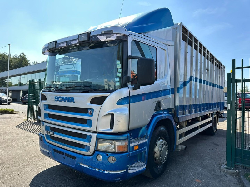Scania P310 4x2 LIVESTOCK / VEEWAGEN / TIERTRANSPORT / BETAILLERE - ALU BOX 7m - MANUAL - A/C - BELGIAN TRUCK - Eläinten kuljetus kuorma-auto: kuva Scania P310 4x2 LIVESTOCK / VEEWAGEN / TIERTRANSPORT / BETAILLERE - ALU BOX 7m - MANUAL - A/C - BELGIAN TRUCK - Eläinten kuljetus kuorma-auto Scania P310 4x2 LIVESTOCK / VEEWAGEN / TIERTRANSPORT / BETAILLERE - ALU BOX 7m - MANUAL - A/C - BELGIAN TRUCK - Eläinten kuljetus kuorma-auto: kuva Scania P310 4x2 LIVESTOCK / VEEWAGEN / TIERTRANSPORT / BETAILLERE - ALU BOX 7m - MANUAL - A/C - BELGIAN TRUCK - Eläinten kuljetus kuorma-auto
