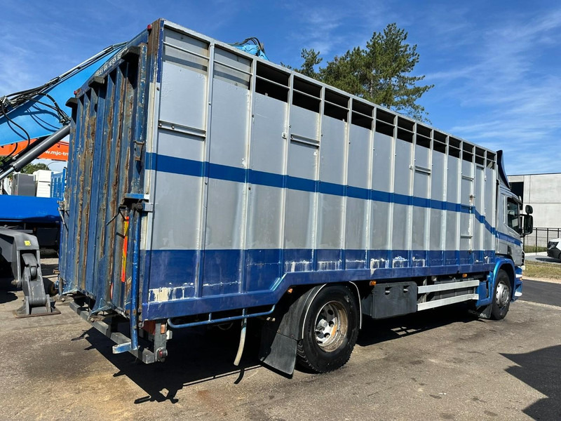 Scania P310 4x2 LIVESTOCK / VEEWAGEN / TIERTRANSPORT / BETAILLERE - ALU BOX 7m - MANUAL - A/C - BELGIAN TRUCK - Eläinten kuljetus kuorma-auto: kuva Scania P310 4x2 LIVESTOCK / VEEWAGEN / TIERTRANSPORT / BETAILLERE - ALU BOX 7m - MANUAL - A/C - BELGIAN TRUCK - Eläinten kuljetus kuorma-auto Scania P310 4x2 LIVESTOCK / VEEWAGEN / TIERTRANSPORT / BETAILLERE - ALU BOX 7m - MANUAL - A/C - BELGIAN TRUCK - Eläinten kuljetus kuorma-auto: kuva Scania P310 4x2 LIVESTOCK / VEEWAGEN / TIERTRANSPORT / BETAILLERE - ALU BOX 7m - MANUAL - A/C - BELGIAN TRUCK - Eläinten kuljetus kuorma-auto