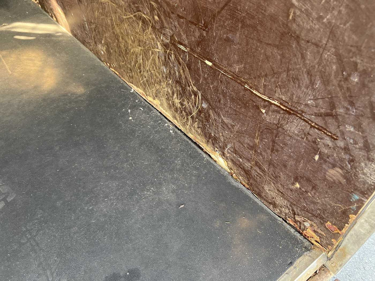 Hevostraileri BOECKMANN Comfort Pferdeanhänger: kuva Hevostraileri BOECKMANN Comfort Pferdeanhänger Hevostraileri BOECKMANN Comfort Pferdeanhänger: kuva Hevostraileri BOECKMANN Comfort Pferdeanhänger