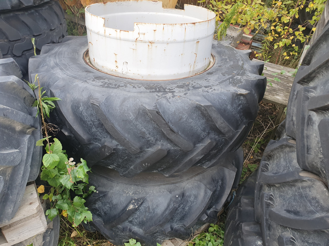 Goodyear 16.9R28 - Rengas - Maatalouskoneet: kuva Goodyear 16.9R28 - Rengas - Maatalouskoneet Goodyear 16.9R28 - Rengas - Maatalouskoneet: kuva Goodyear 16.9R28 - Rengas - Maatalouskoneet