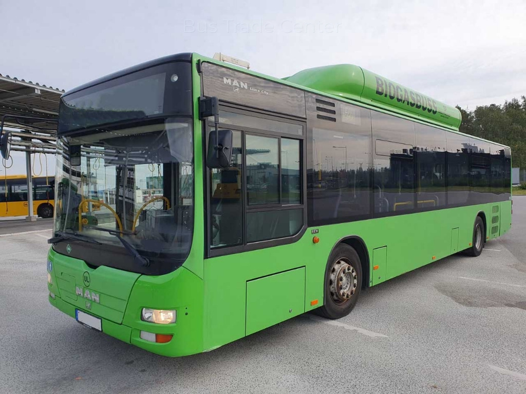 MAN Lion´s City A21 CNG - Linja-auto: kuva MAN Lion´s City A21 CNG - Linja-auto MAN Lion´s City A21 CNG - Linja-auto: kuva MAN Lion´s City A21 CNG - Linja-auto
