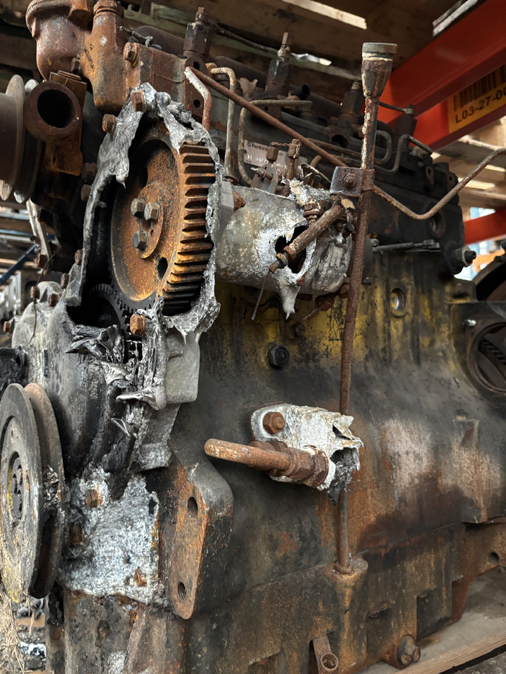 Perkins LF31227 Silnik Blok Tryb Koło Pasowe Pokrywa Kolektor Koło Zamachowe CZĘŚCI - Vauhtipyörä - Maatalouskoneet: kuva Perkins LF31227 Silnik Blok Tryb Koło Pasowe Pokrywa Kolektor Koło Zamachowe CZĘŚCI - Vauhtipyörä - Maatalouskoneet Perkins LF31227 Silnik Blok Tryb Koło Pasowe Pokrywa Kolektor Koło Zamachowe CZĘŚCI - Vauhtipyörä - Maatalouskoneet: kuva Perkins LF31227 Silnik Blok Tryb Koło Pasowe Pokrywa Kolektor Koło Zamachowe CZĘŚCI - Vauhtipyörä - Maatalouskoneet